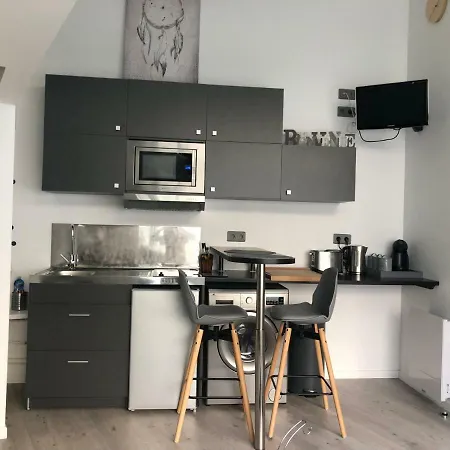 2 Lofts Cosy De Cachet Idealement Situes Au Centre De Apartament *