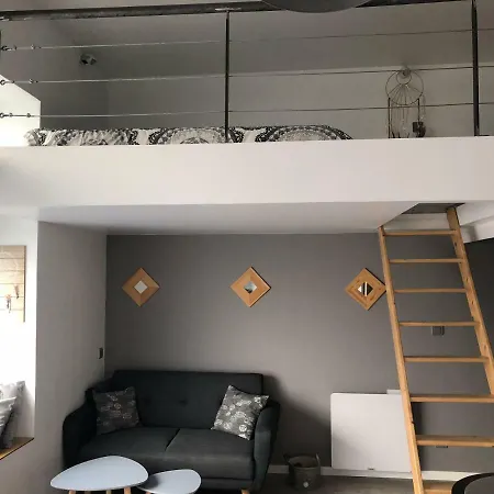 2 Lofts Cosy De Cachet Idéalement Situés Au Centre De