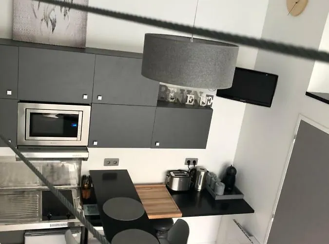 2 Lofts Cosy De Cachet Idealement Situes Au Centre De Апартаменты Клермон-Ферран